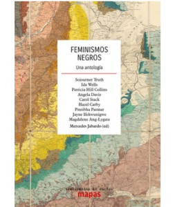 Feminismos Negros una...