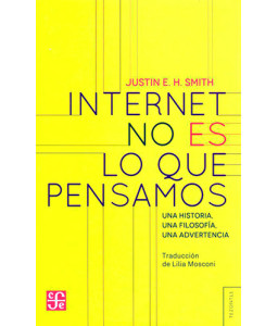 Internet no es lo que Pensamos