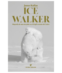 Ice Walker
