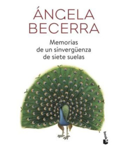 Memorias de un Sinvergüenza...