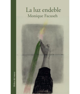 La luz endeble