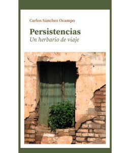 Persistencias