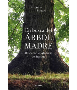 En Busca del Árbol Madre