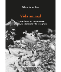Vida Animal