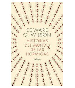 Historias del Mundo de las Hormigas